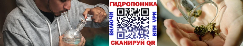 Конопля THC 21%  Судогда 